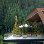 Von der Natur inspiriert: Wie Holzbauweise das Raumklima verbessert